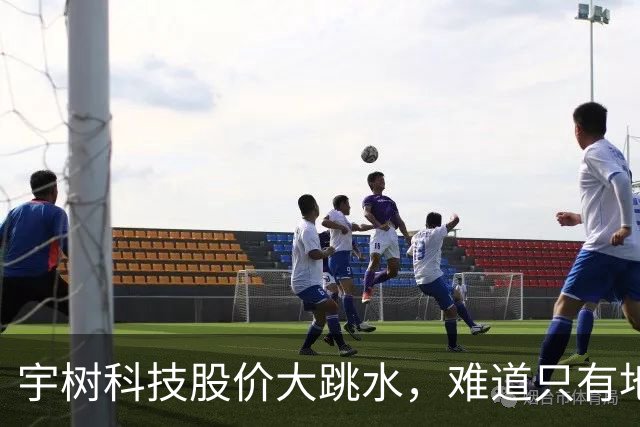 宇树科技股价大跳水，难道只有地心引力陪伴？