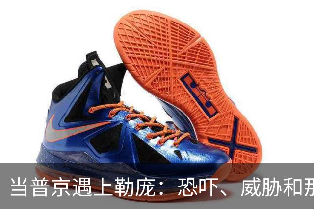当普京遇上勒庞：恐吓、威胁和那50亿美元